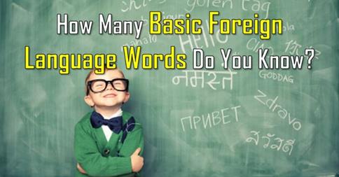 foreign-language