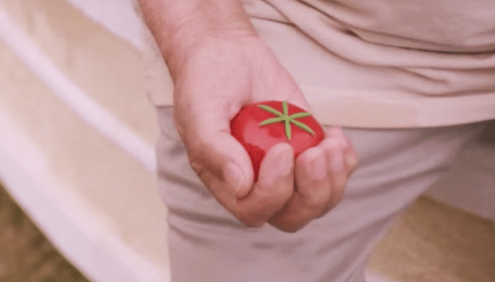 tomato plants
