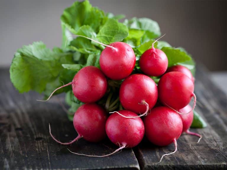 7 Health Benefits Of Radish And Why It Should Be A Part Of Your Regular Diet