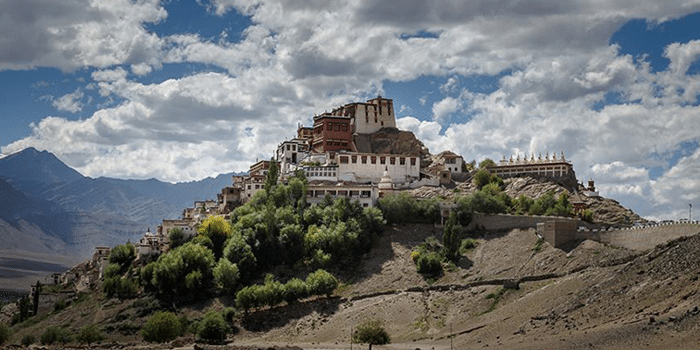 ladakh tree plantation monks