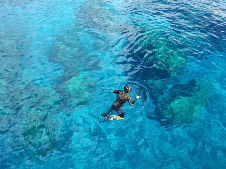 5 Snorkeling Tips For A Beginner For Your Next Trip