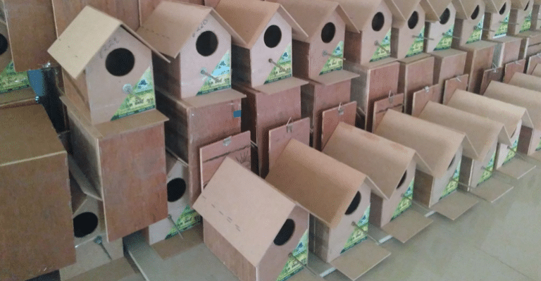 Save Sparrow Abhiyan
