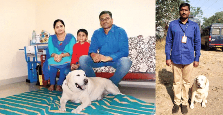 She Sniffed Out 11 Major Crimes, Retired Police Dog ‘Rani’ Is Now Adopted By Her Master