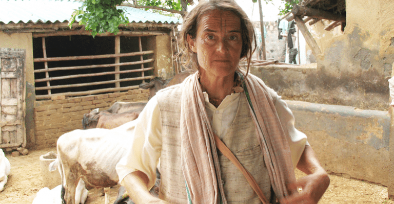 The German Tourist Who Became A Gaurakshak In Mathura, Mothering 1800+ Sick Cows For Last 40 Years