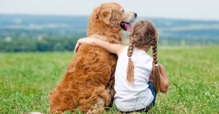 Top Vacation Destinations For You And Your Dog