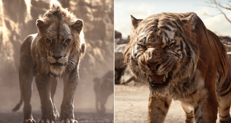 The Lion King Vs. The Jungle Book: Same Story But In 2 Different Styles?