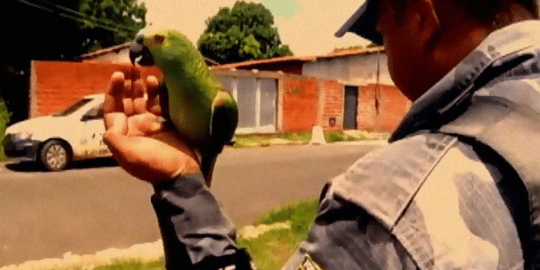 bird arrested for crime