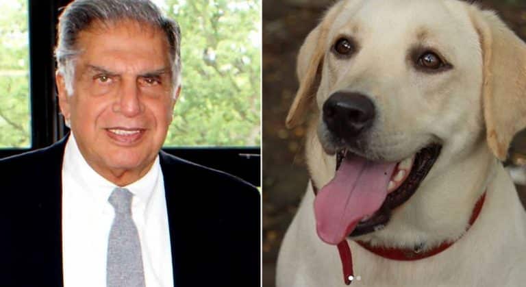 Ratan Tata love for dog