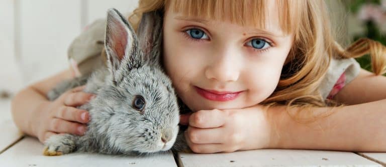pet for children