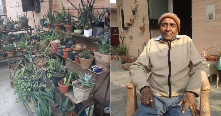 Game Of Thorns: This Retired Zoologist From Delhi Houses Over 1500 Varieties Of Cactus