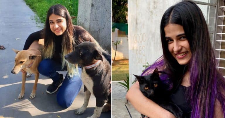 Feeding 300 Stray Dogs On Daily Basis, This 22-YO Is On A Mission To Save The Speechless