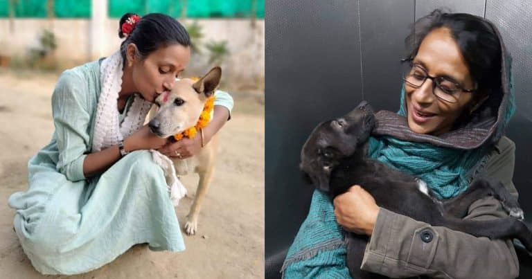 Rescued 2500+ Dogs And Cats, This ‘Dog Mother’ Also Takes Care Of 2 Donkeys, 4 Calves, And A Cow