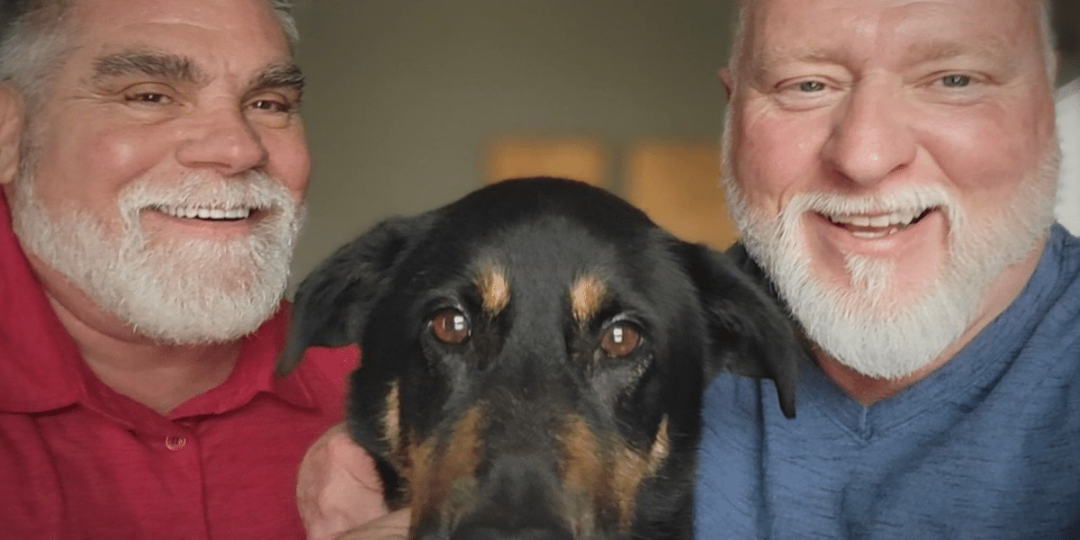 A Dog Who Was Abandoned For Being 'Gay' Has Been Adopted By Same-Sex Couple